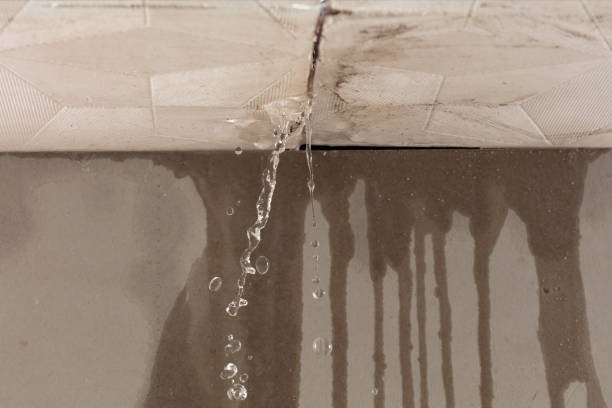 Professional Burst Pipe Cleanup technician working in Auburn, IN
